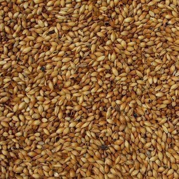 G-JWCR1KG