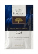 YWCCL23